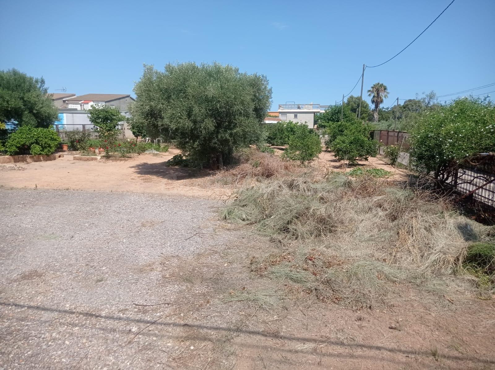TERRENO EN LA MARJALERÍA DE 850 METROS, SE PUEDE EDIFICAR, L - foto 3