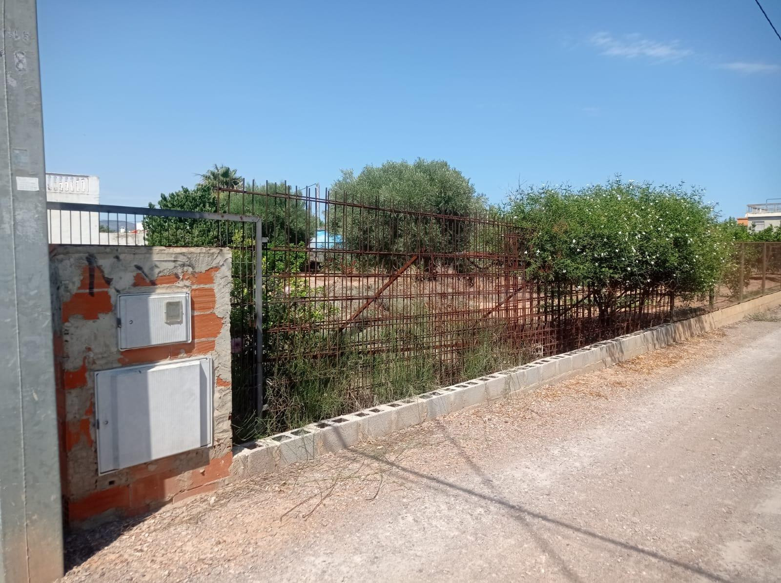 TERRENO EN LA MARJALERÍA DE 850 METROS, SE PUEDE EDIFICAR, L - foto 4