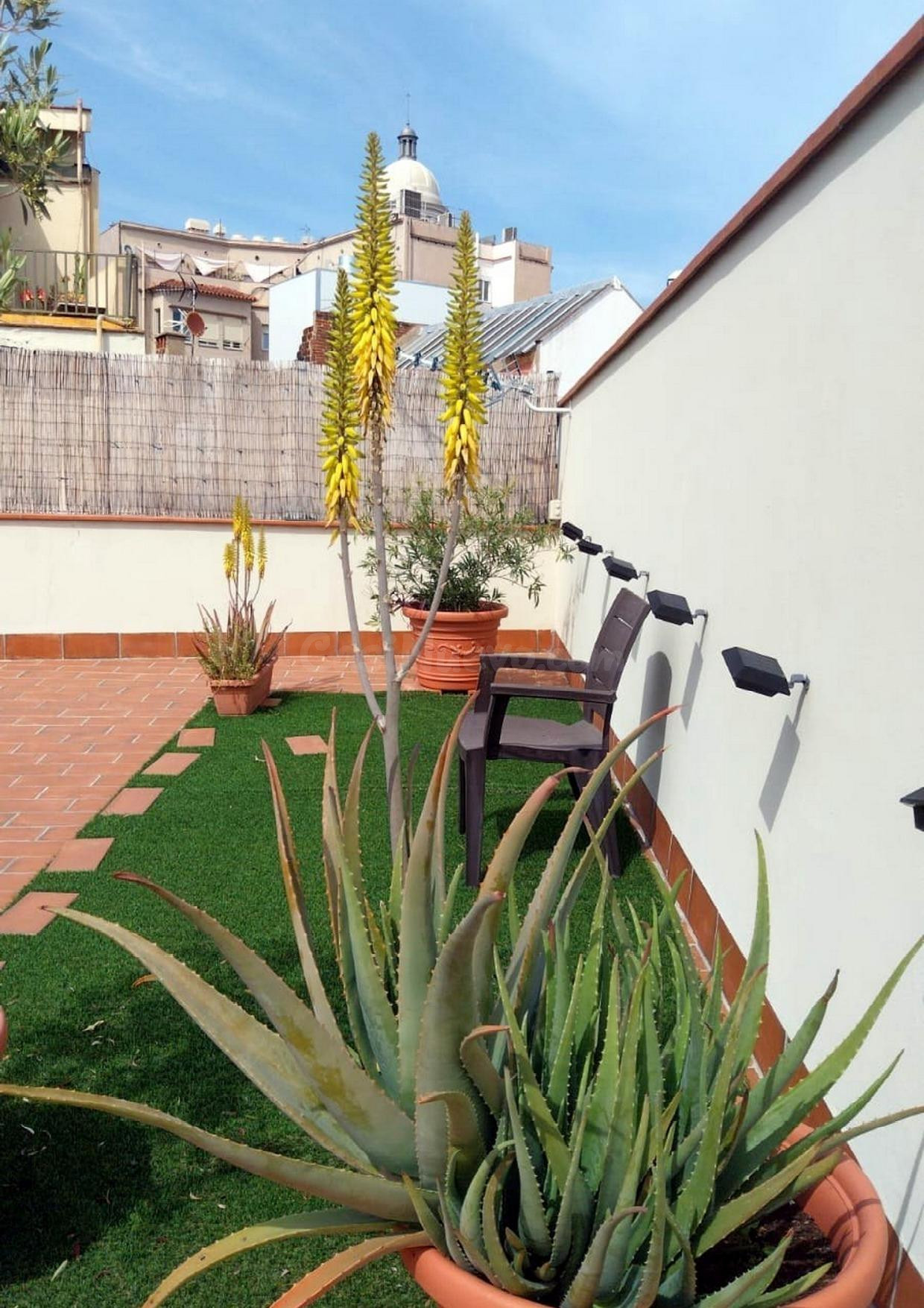 ATICO EN FINCA NUEVA REHABILITADA CON TERRAZA - foto 3
