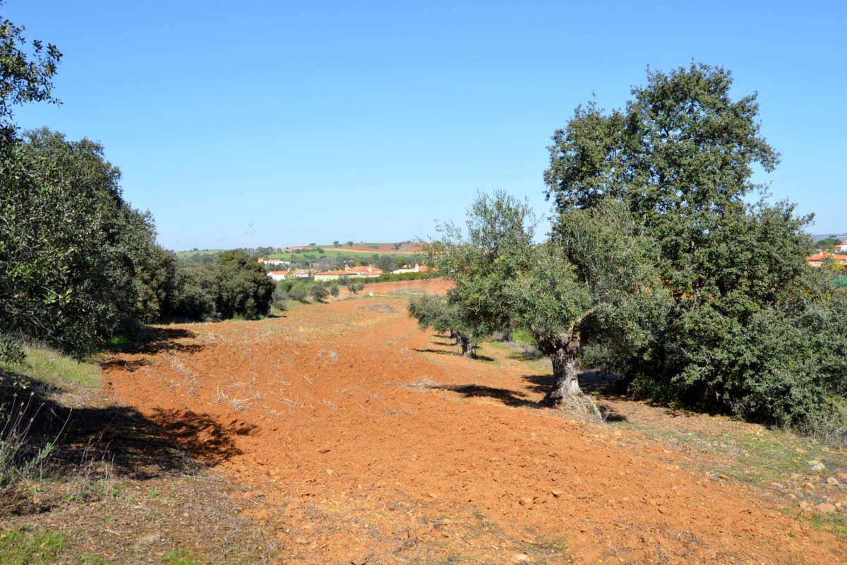 Terreno en alrededores de Don Álvaro!