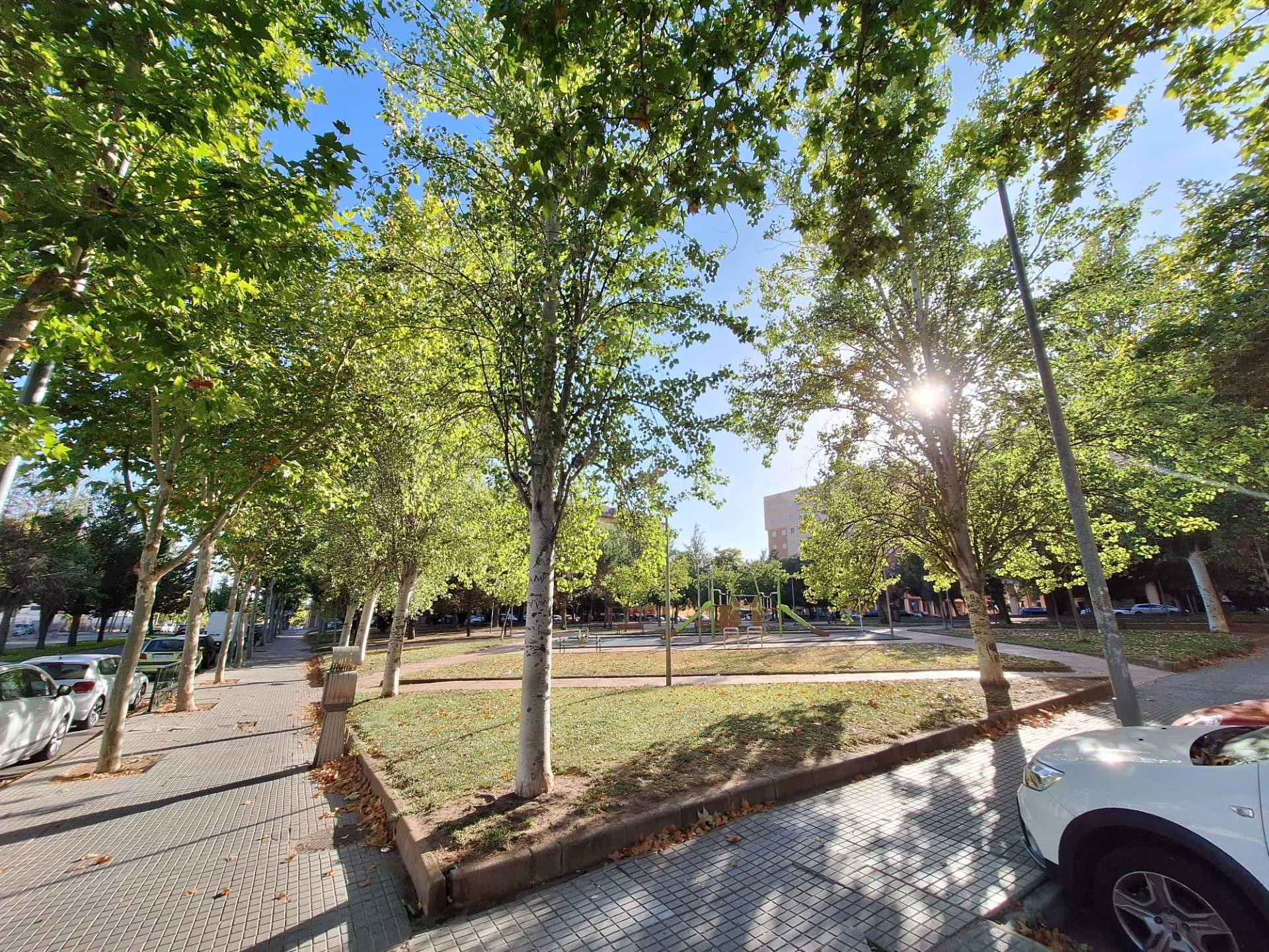 🅿️ Plaza de garaje en venta en Ciudad Jardín – Calle Clavelinas