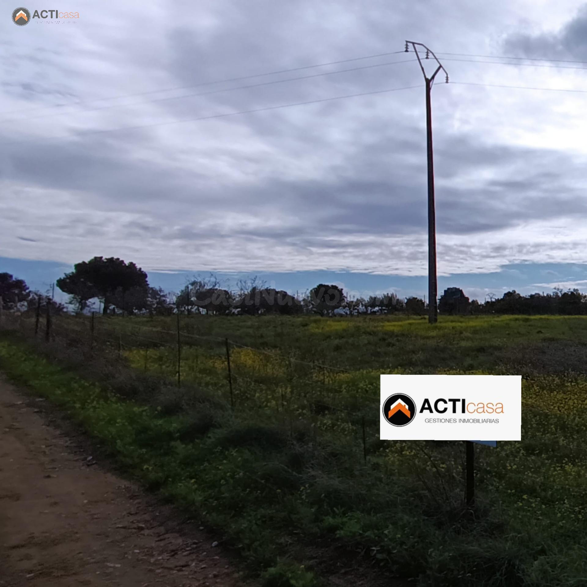 TERRENO EN VENTA ENTRE SIERRA DE FUENTES Y TORREORGAZ.