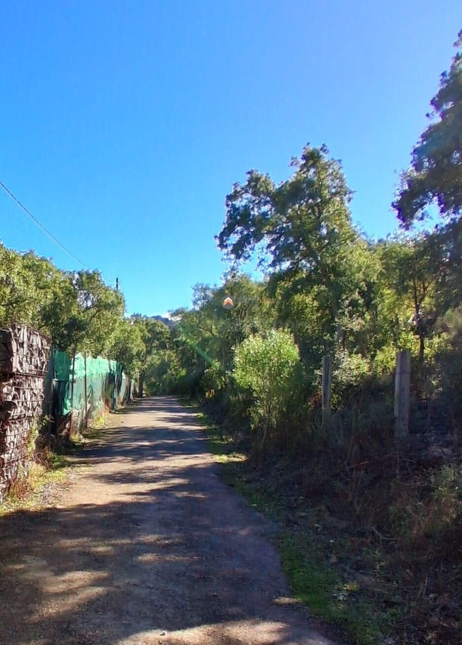 TERRENO RUSTICO CERCA DEL PORTANCHITO - foto 5