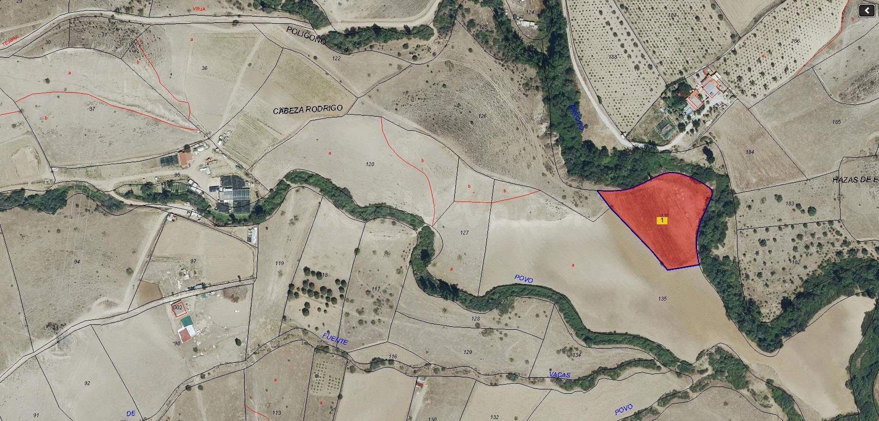 Finca rústica en venta en El Molar