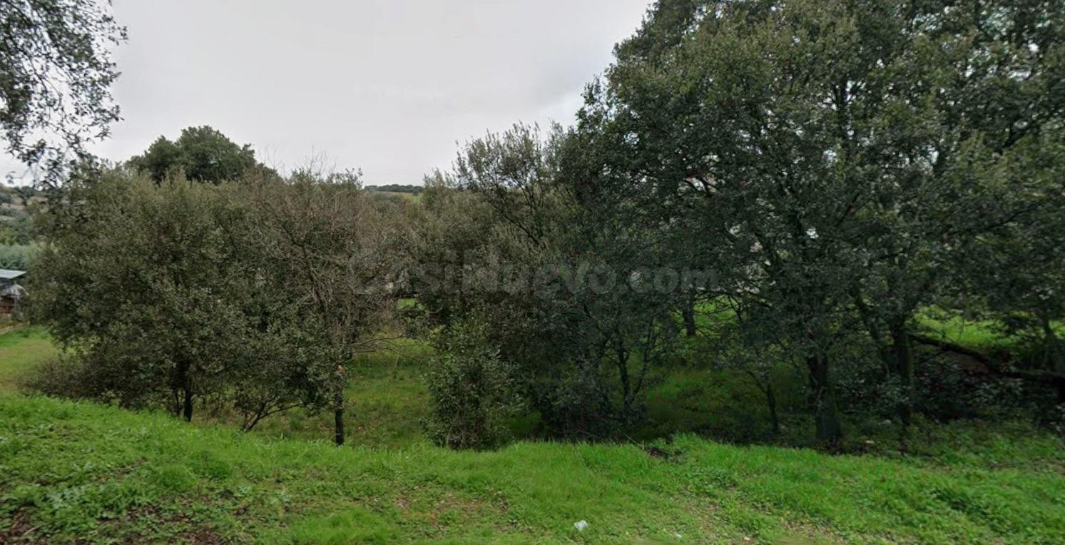 Parcela con vistas a la naturaleza de 1040 m2 en la urbaniza