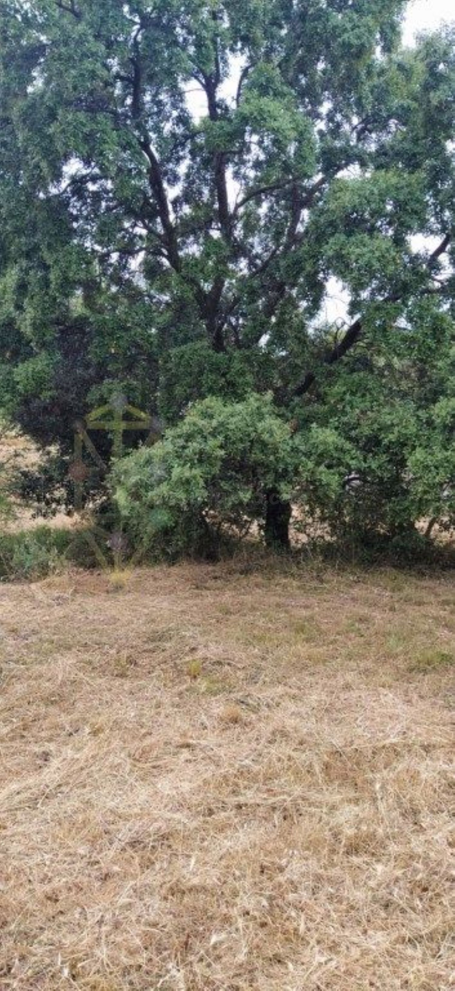 Parcela con vistas a la naturaleza de 1040 m2 en la urbaniza - foto 5