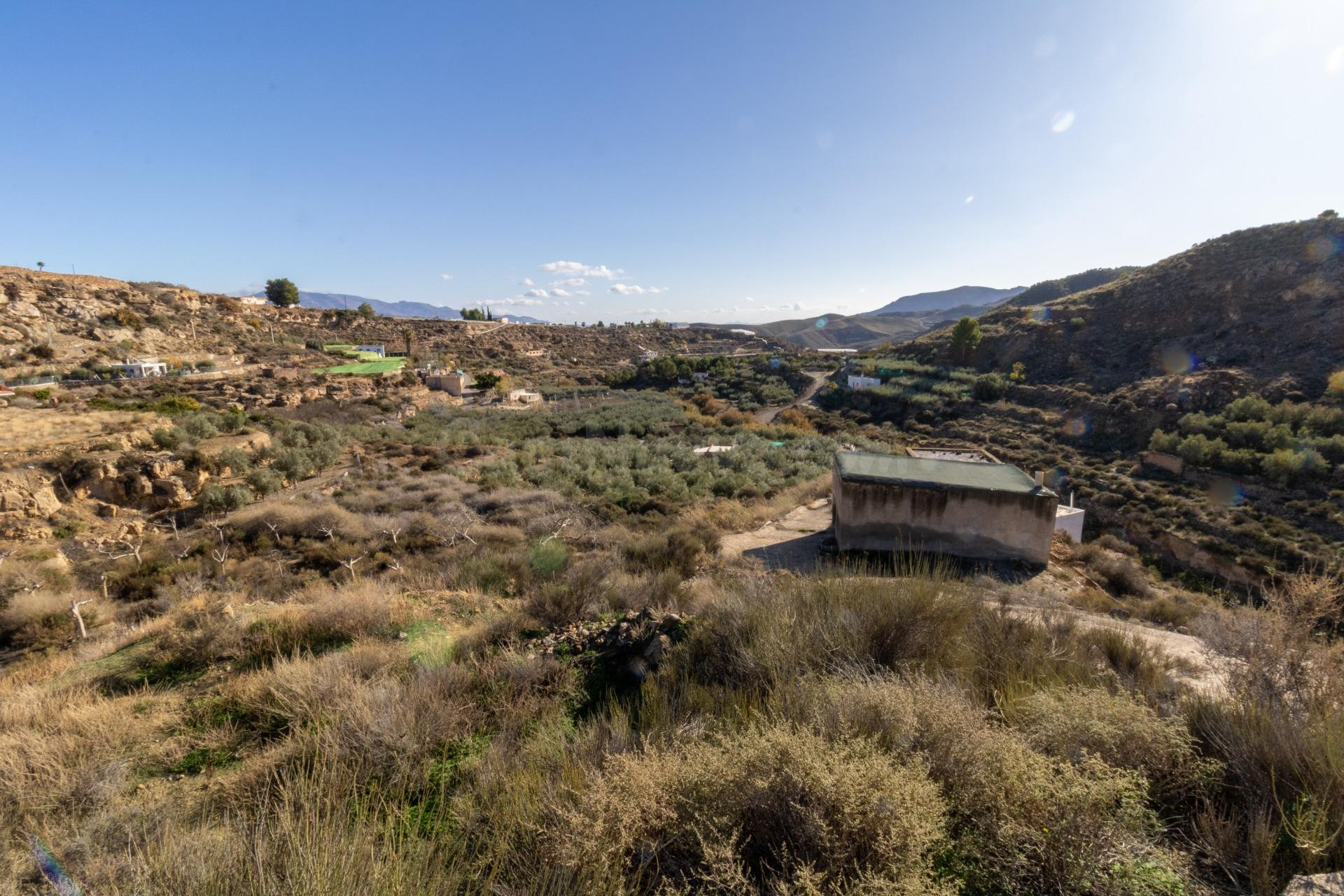 TERRENO RÚSTICO EN ALHAMA DE ALMERÍA - foto 4