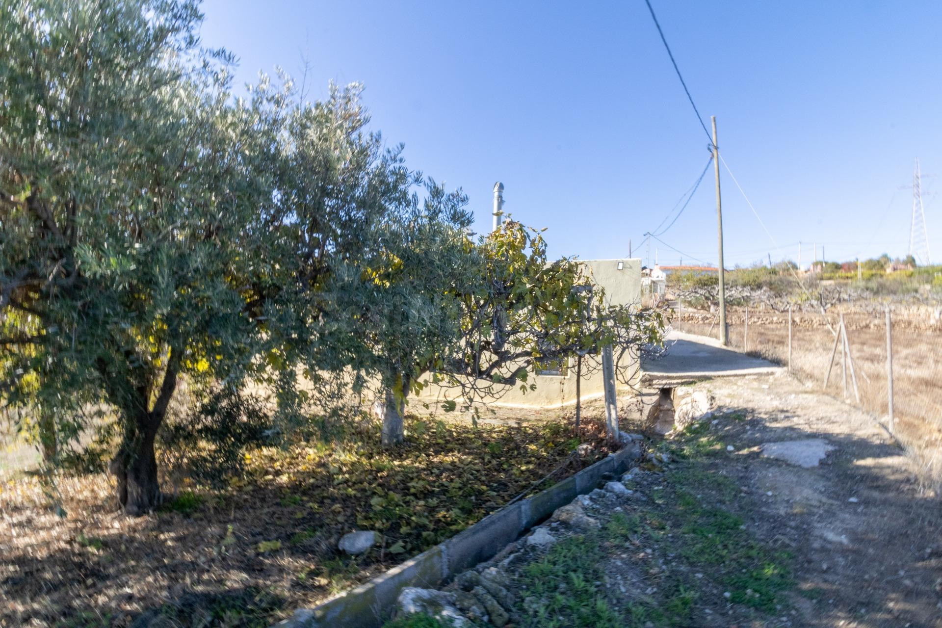 TERRENO RÚSTICO DE ALHAMA DE ALMERÍA - foto 2