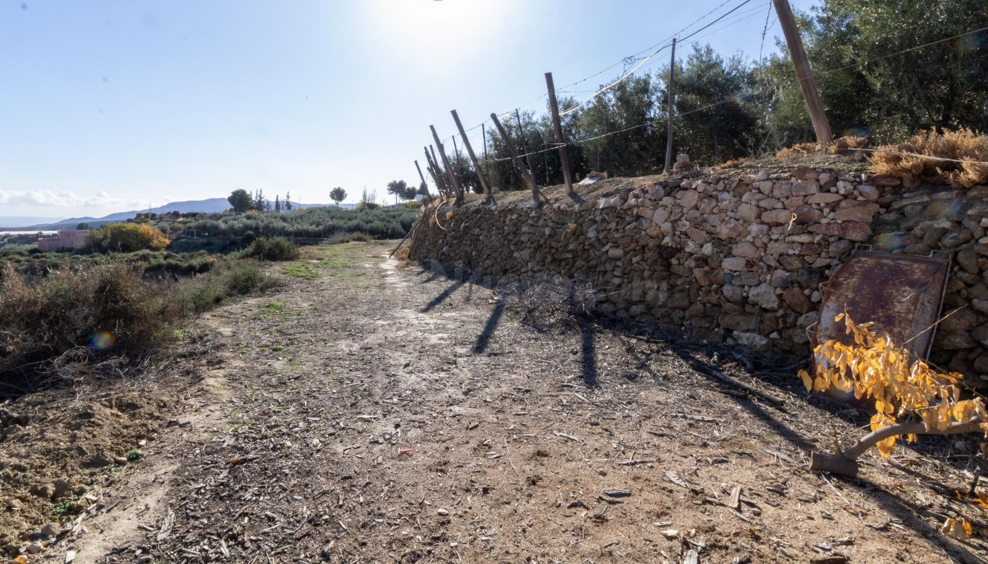 TERRENO RÚSTICO DE ALHAMA DE ALMERÍA - foto 4