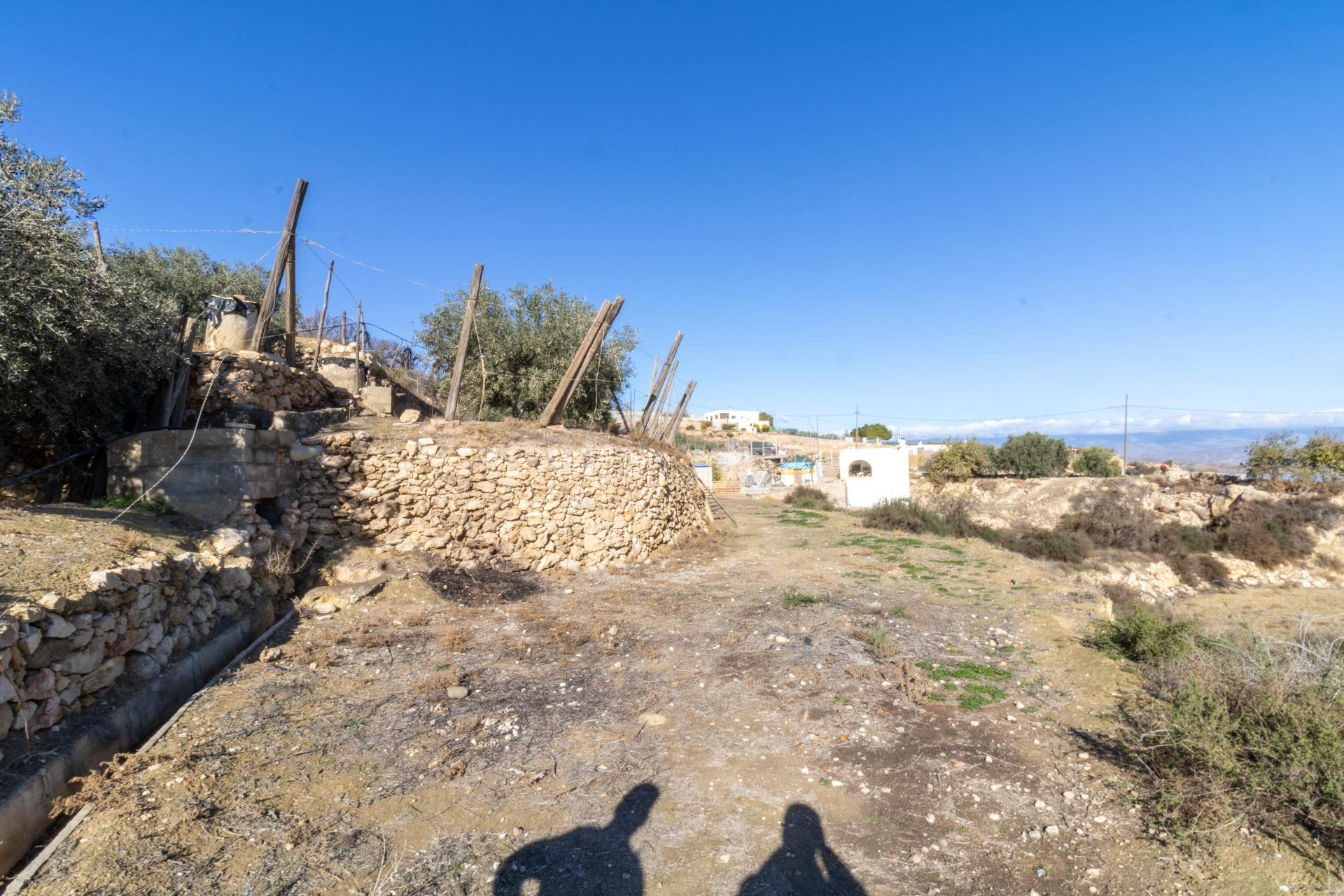 TERRENO RÚSTICO DE ALHAMA DE ALMERÍA - foto 5