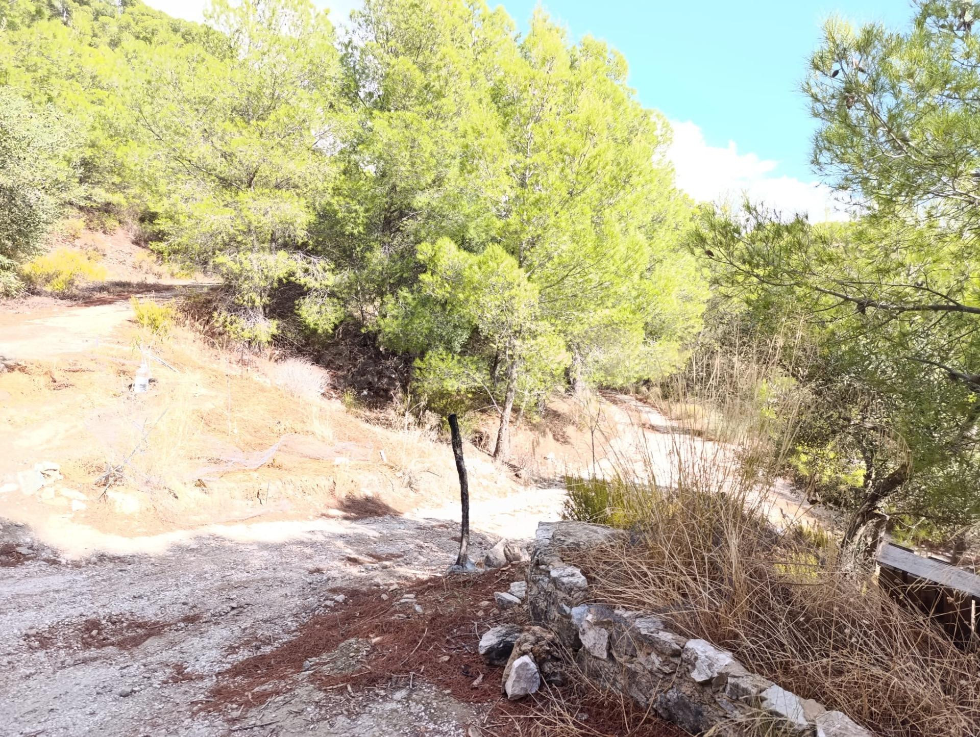 Finca rústica con vistas panorámicas en plena Sierra de las  - foto 4
