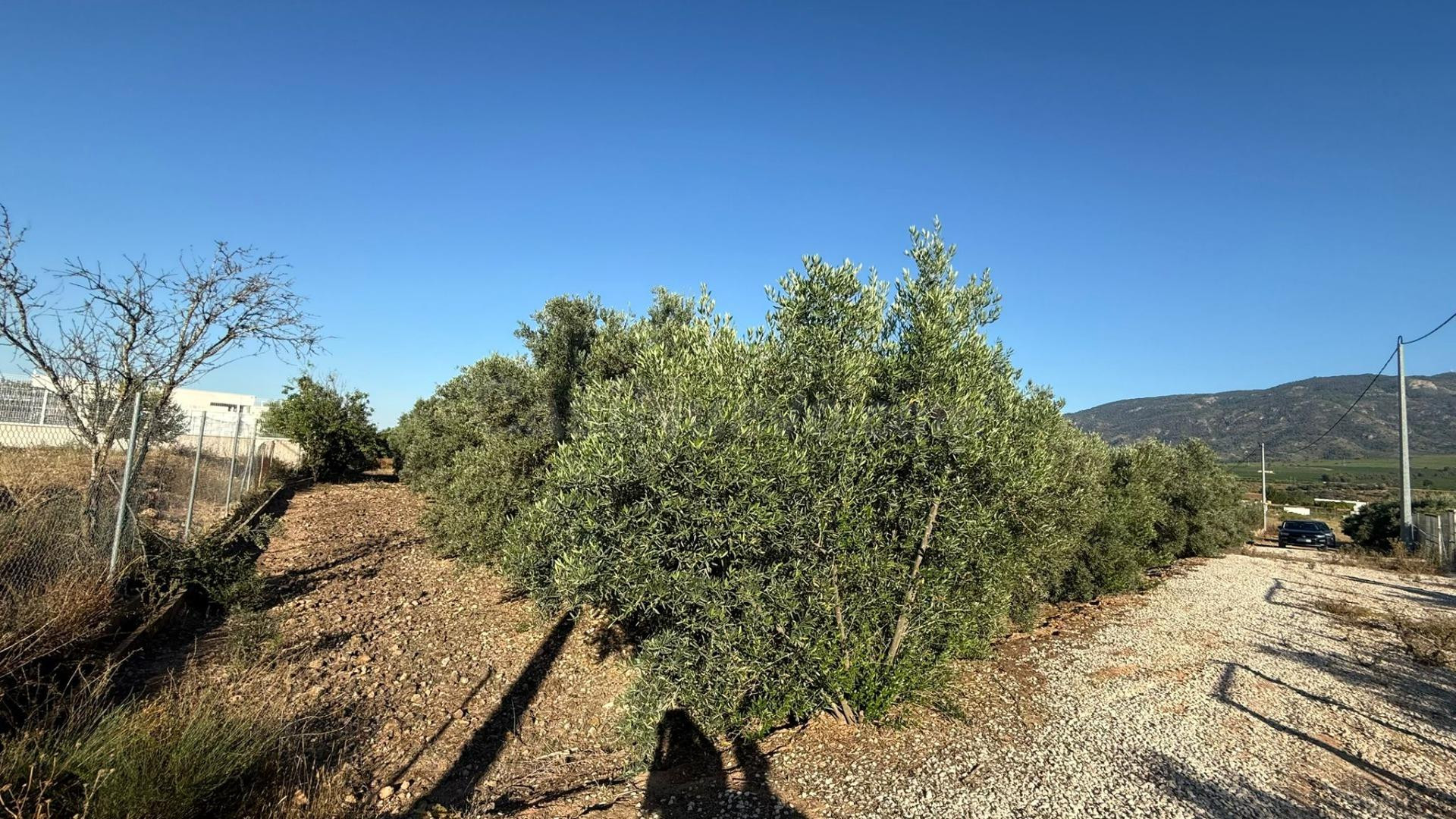 Terreno Rustico - foto 3