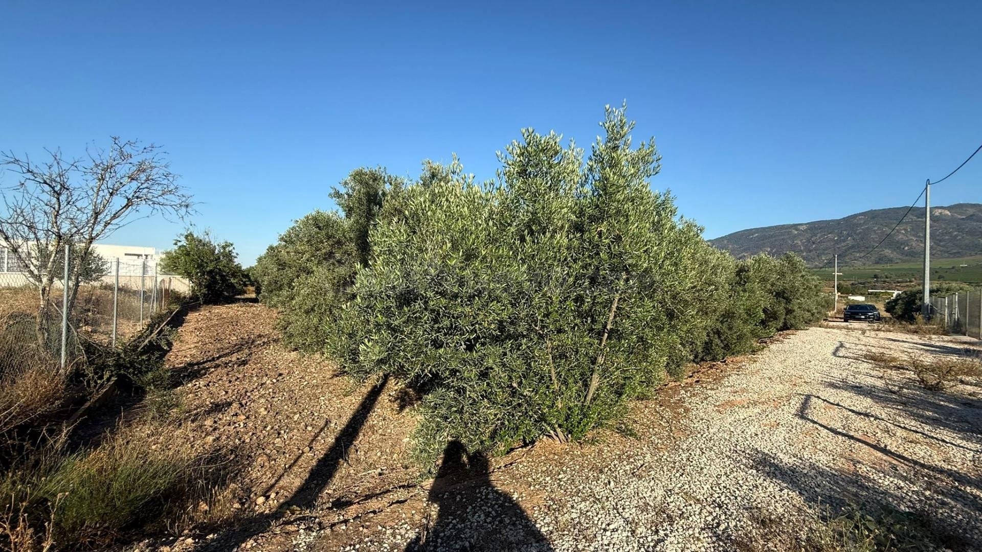 Terreno Rustico - foto 4