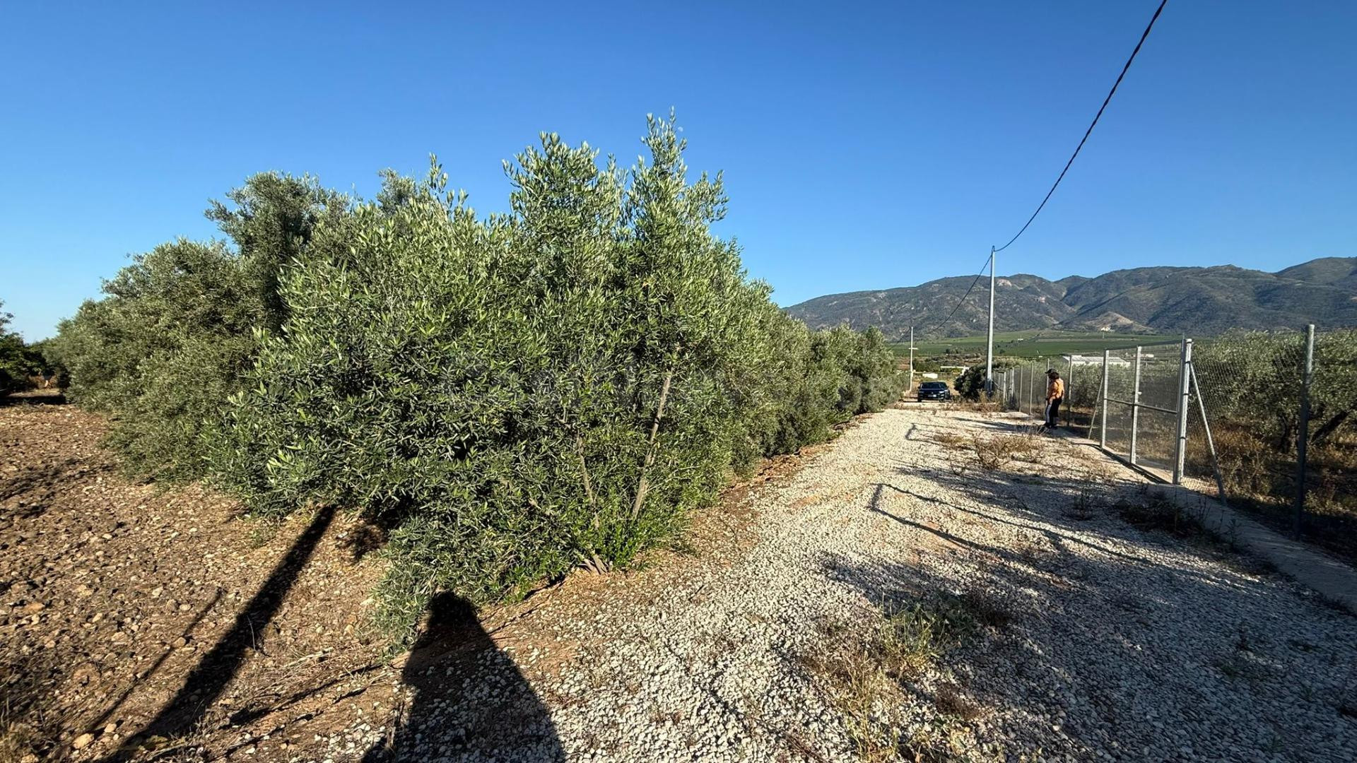 Terreno Rustico - foto 5
