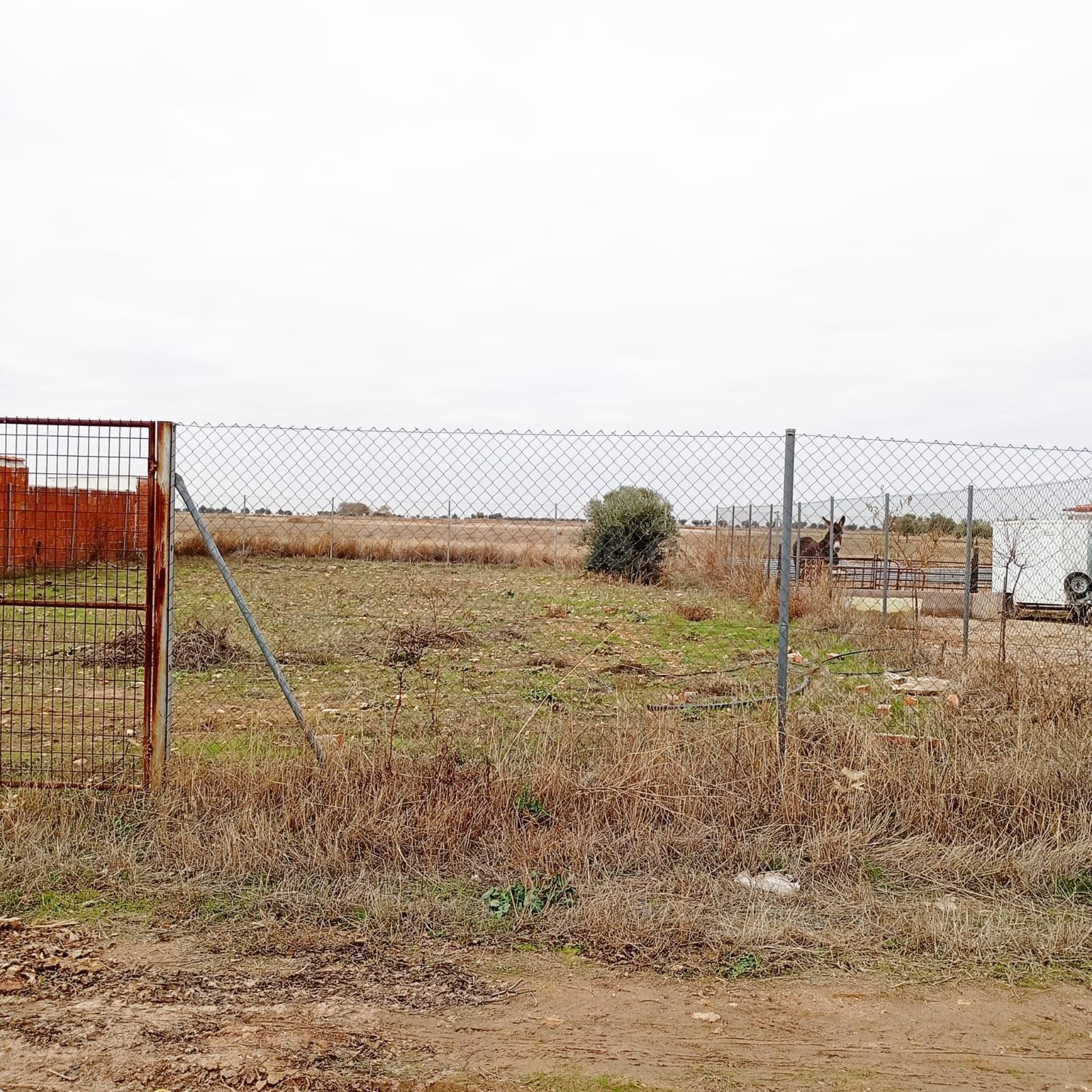 Finca Rústica en Yepes, Provincia de Toledo.