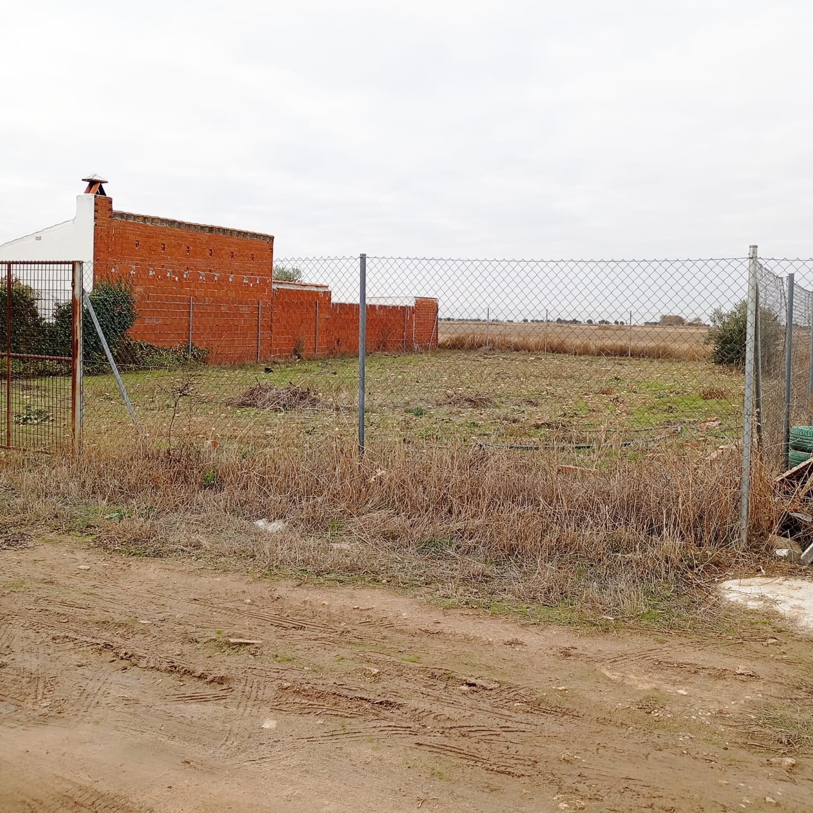 Finca Rústica en Yepes, Provincia de Toledo. - foto 2