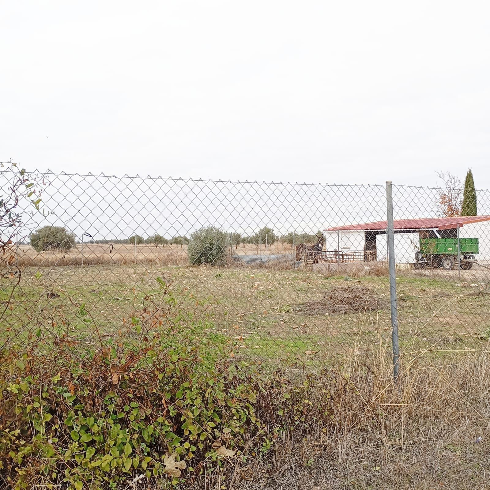 Finca Rústica en Yepes, Provincia de Toledo. - foto 3