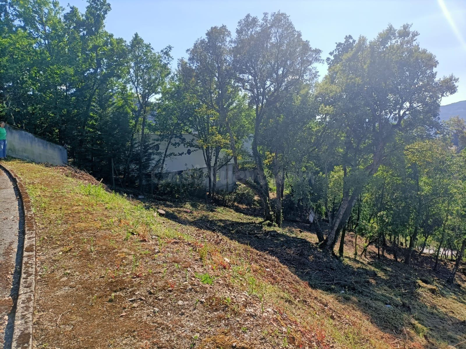 ¡Descubre la Finca Ramiras y vive tus sueños! 🌳🏡 - foto 2