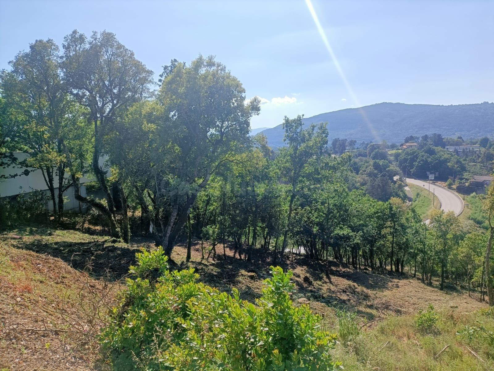 ¡Descubre la Finca Ramiras y vive tus sueños! 🌳🏡 - foto 3