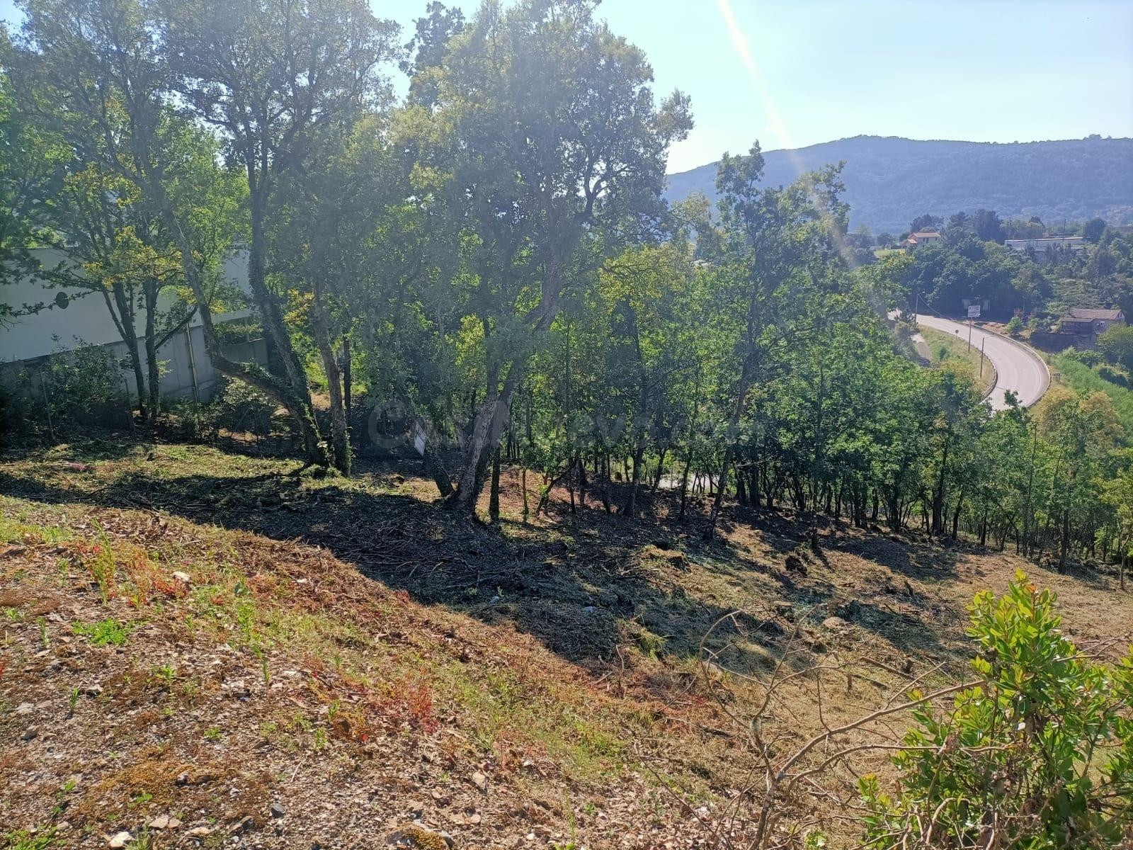 ¡Descubre la Finca Ramiras y vive tus sueños! 🌳🏡 - foto 4