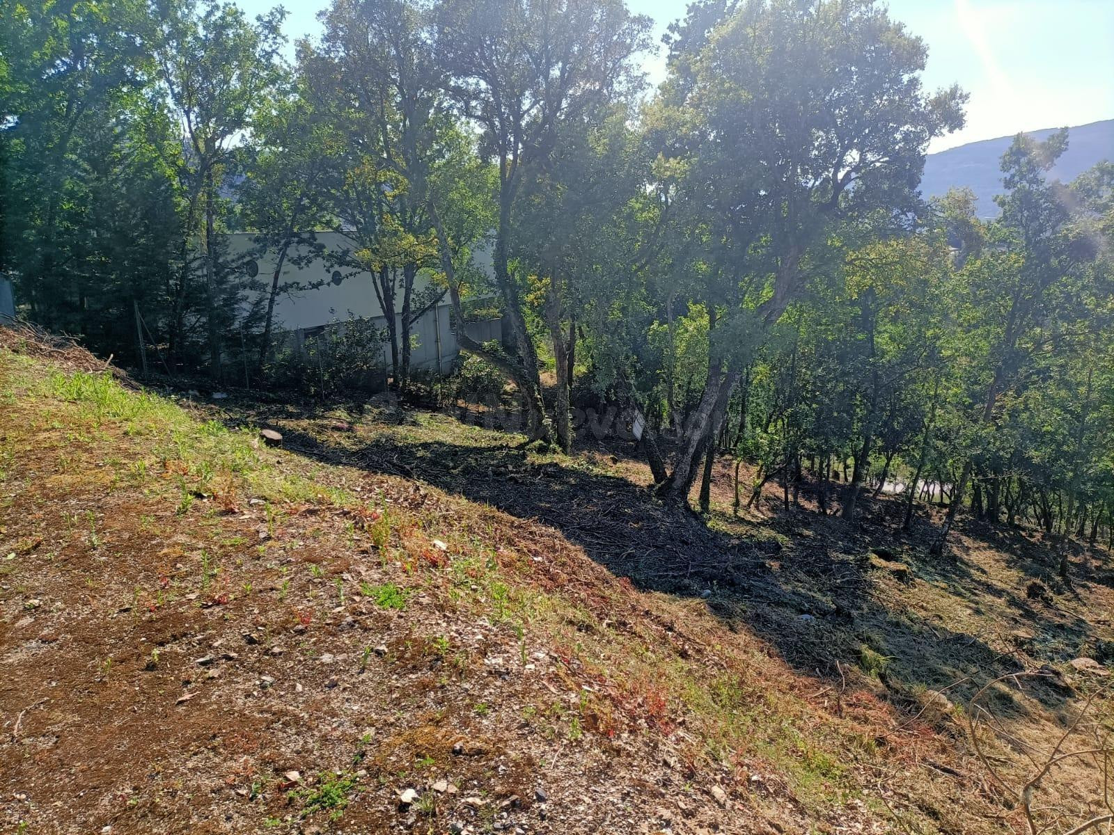 ¡Descubre la Finca Ramiras y vive tus sueños! 🌳🏡 - foto 5