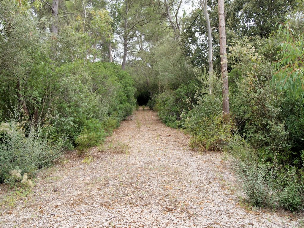 Finca rústica en Cas Canar (Sencelles)
