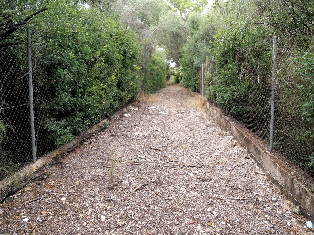 Finca rústica en Cas Canar (Sencelles) - foto 2