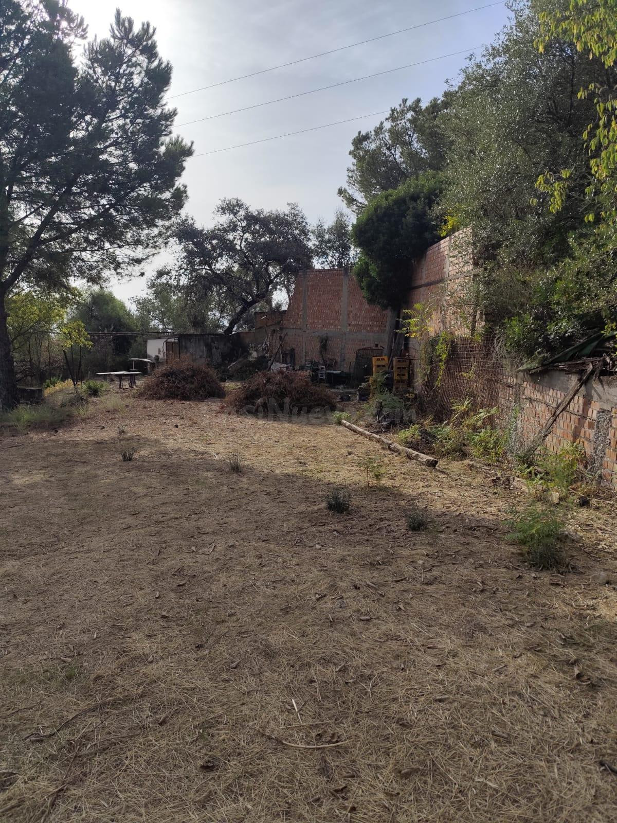 TERRENO EN LA ZONA ALTA DE CUEVAS BAJAS - foto 3