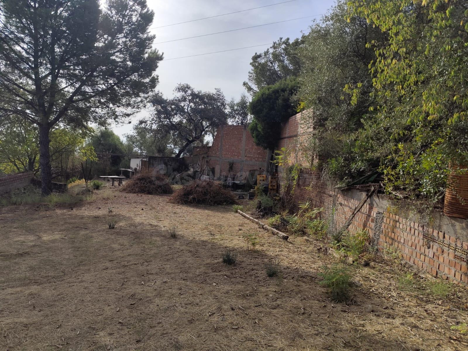 TERRENO EN LA ZONA ALTA DE CUEVAS BAJAS - foto 5
