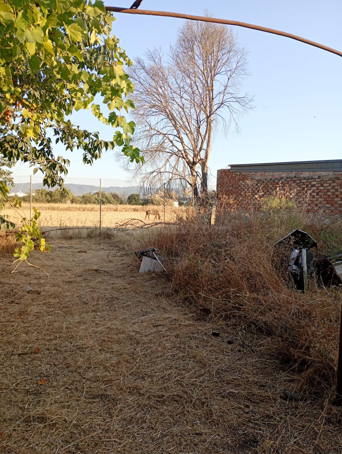 Terreno de 838 m2 en Camino Carbonell | 69.500€ - foto 3