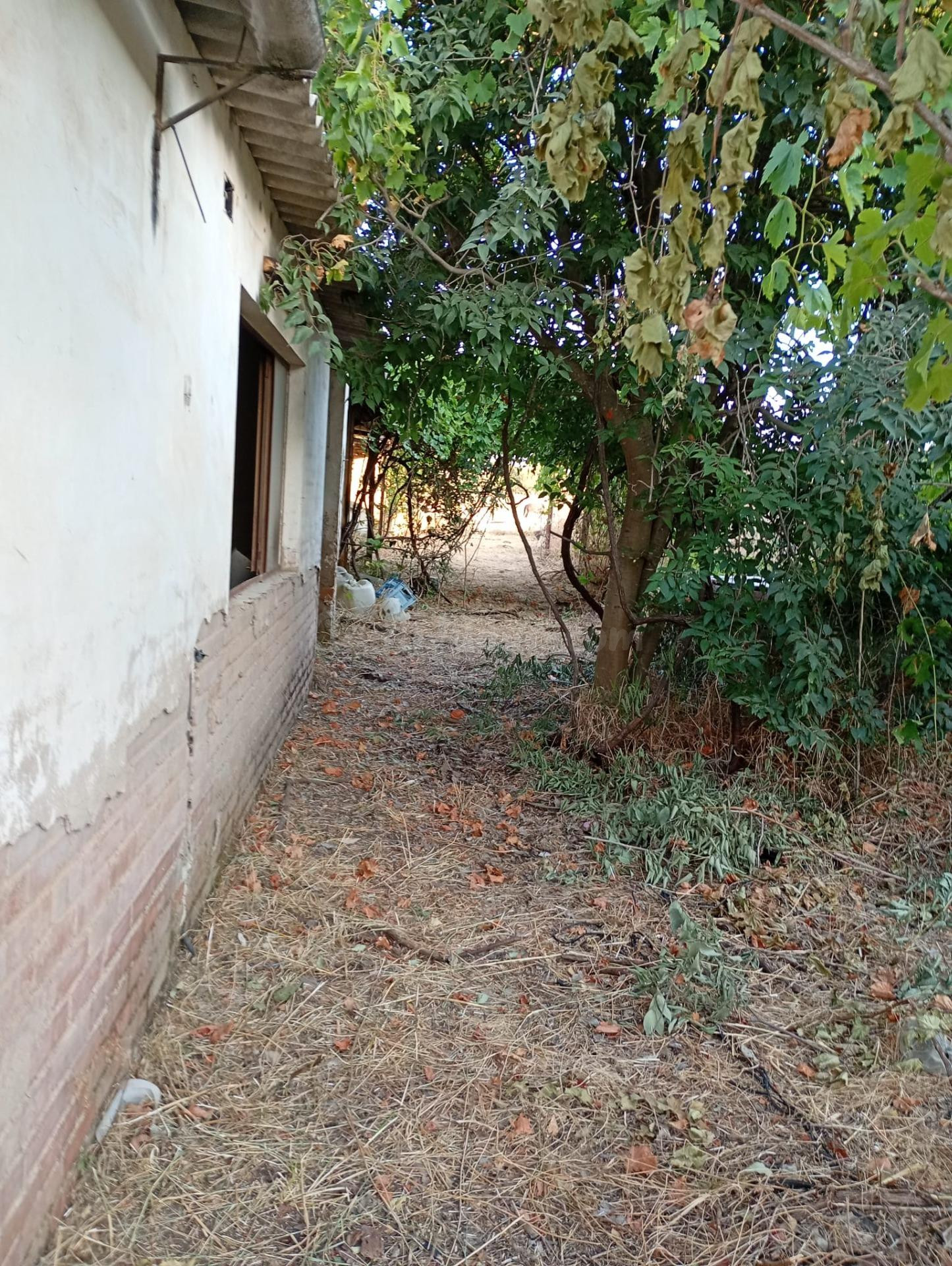 Terreno de 838 m2 en Camino Carbonell | 69.500€ - foto 5
