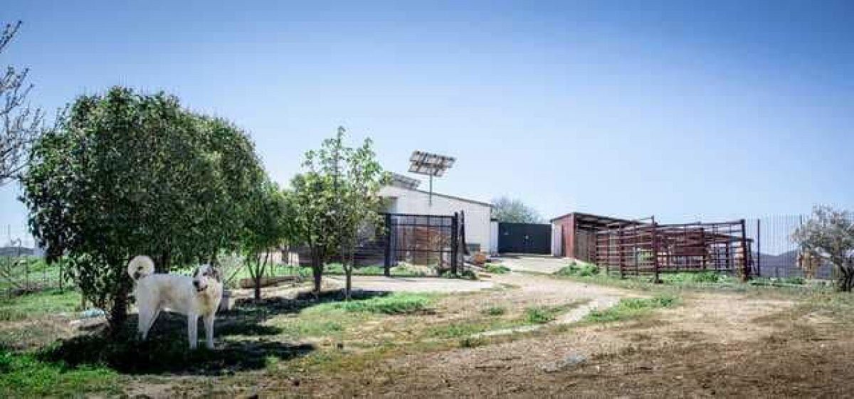 FINCA RÚSTICA JUNTO AL PANTANO DE SIERRA BOYERA