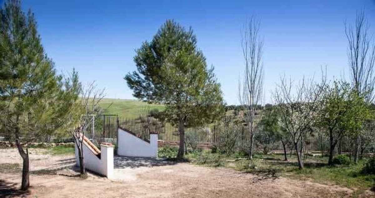 FINCA RÚSTICA JUNTO AL PANTANO DE SIERRA BOYERA - foto 2