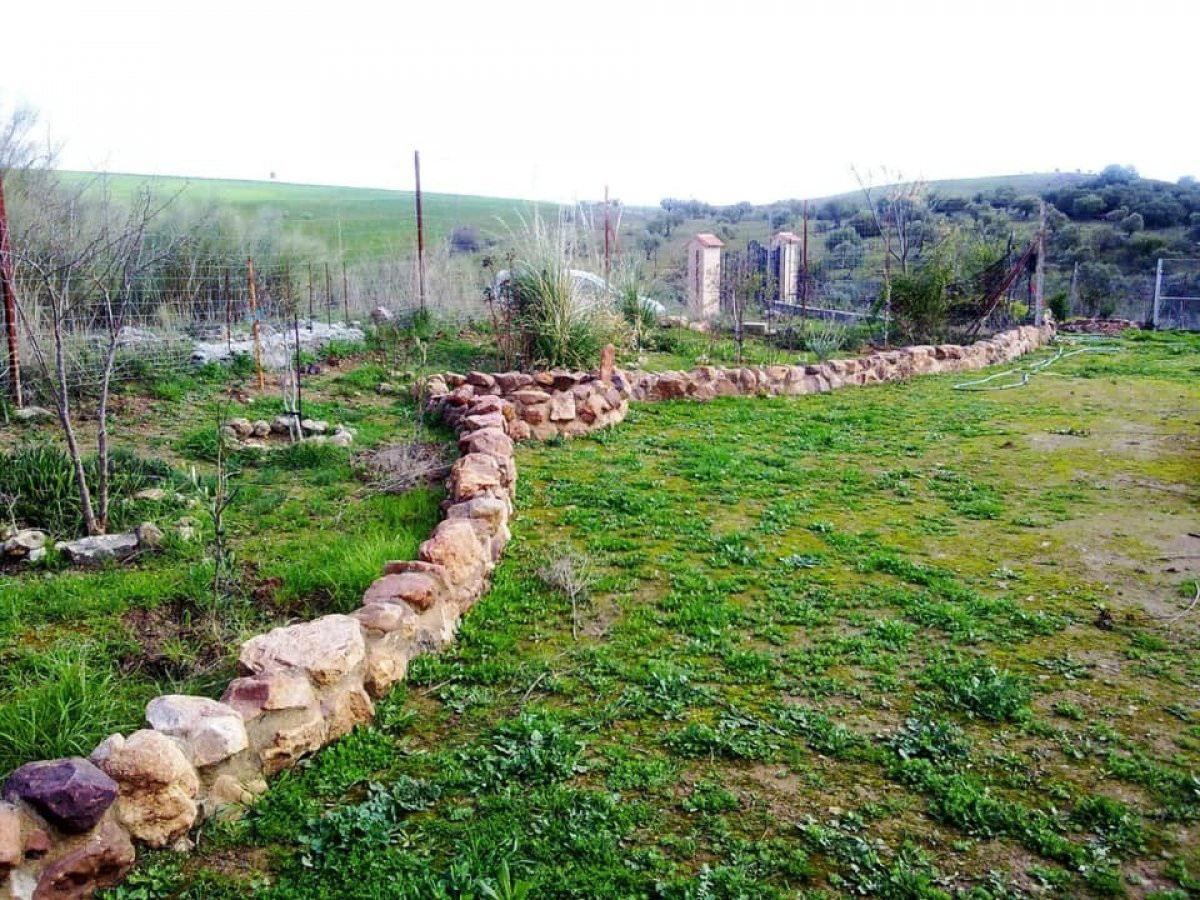FINCA RÚSTICA JUNTO AL PANTANO DE SIERRA BOYERA - foto 4