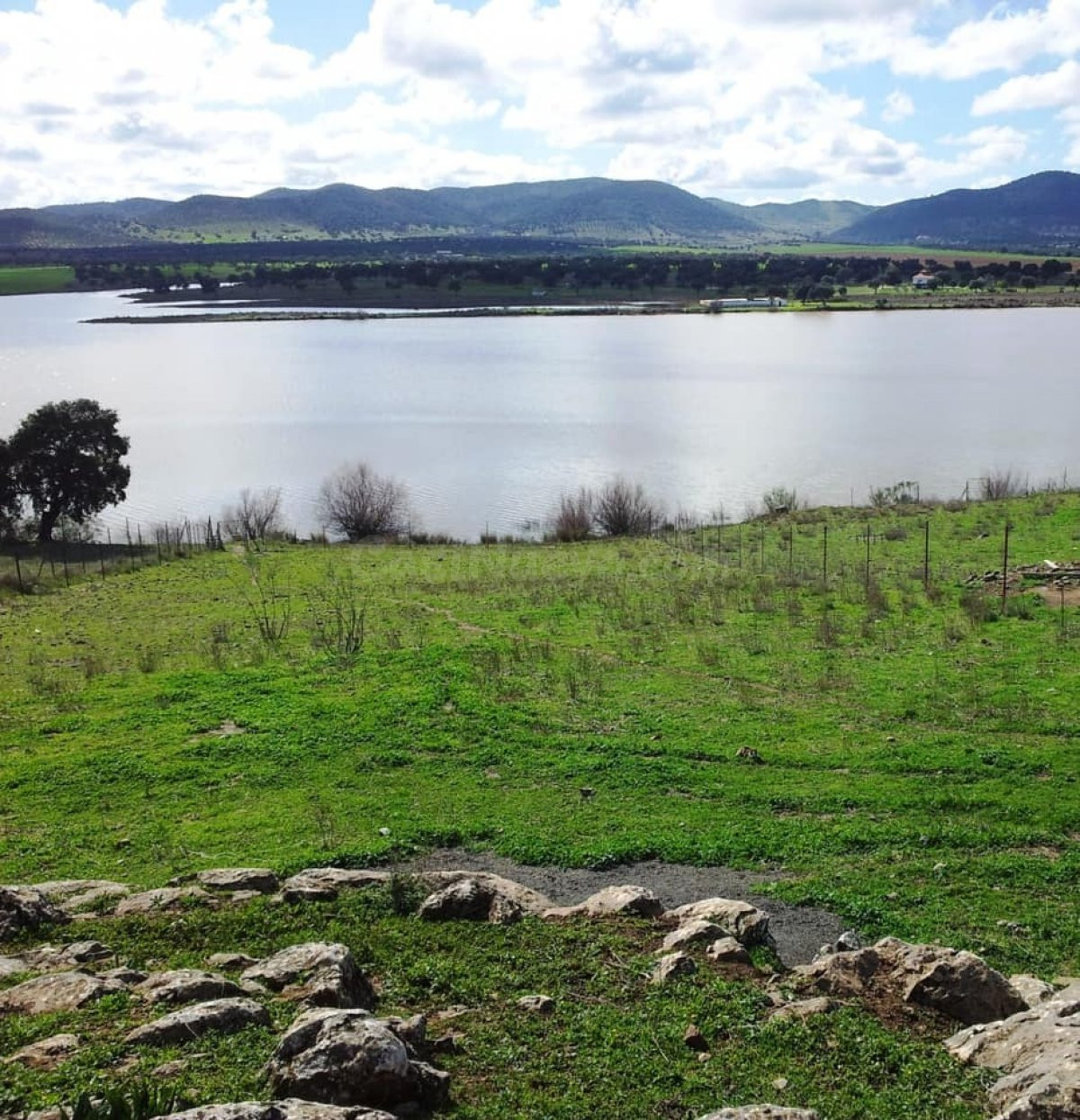 FINCA RÚSTICA JUNTO AL PANTANO DE SIERRA BOYERA - foto 5