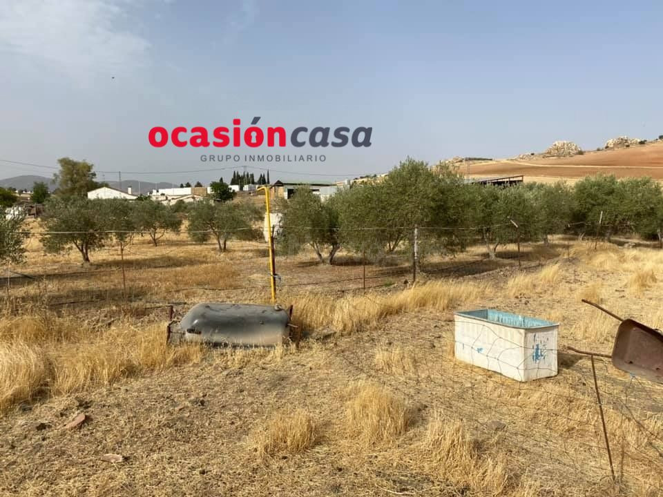 PARCELA CON GRAN VIVIENDA A LA VENTA - foto 2