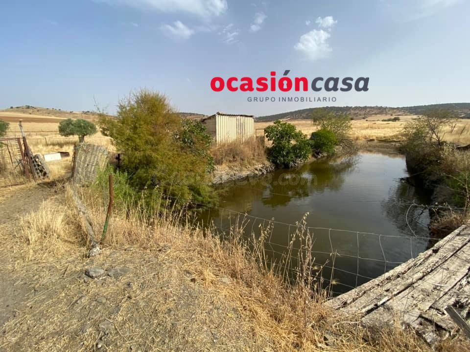PARCELA CON GRAN VIVIENDA A LA VENTA - foto 4