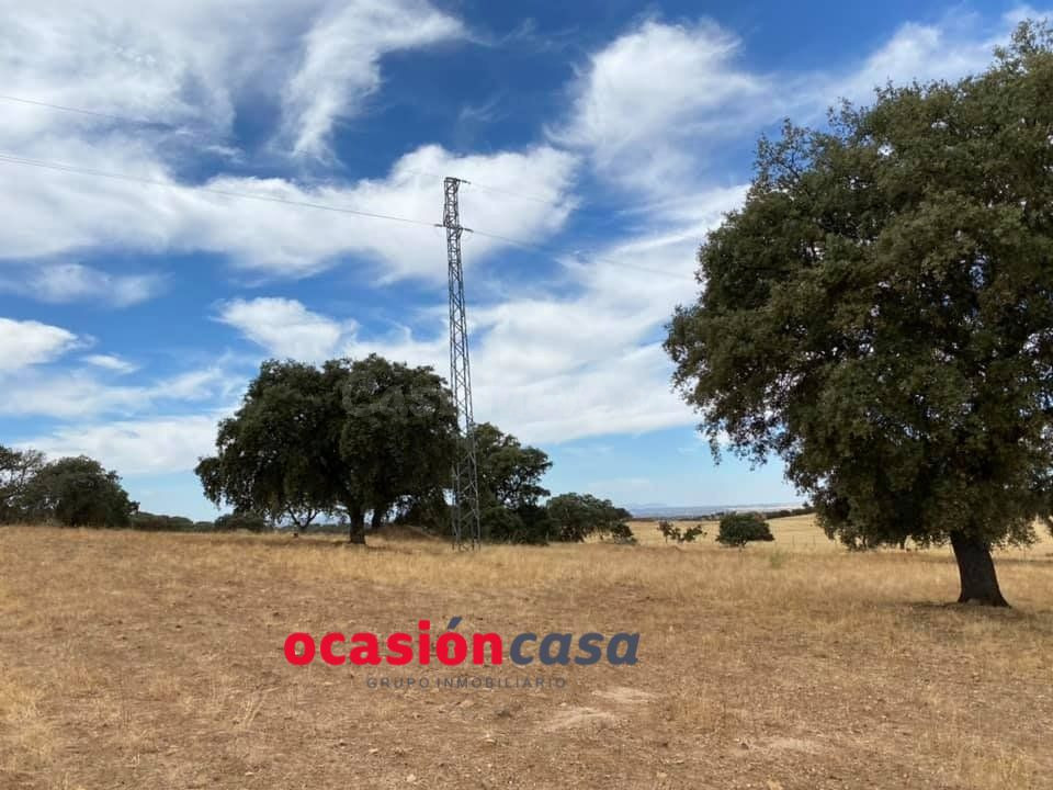 ENCINAR A LA VENTA CERCA DE LA ALDEA DE ARGALLON
