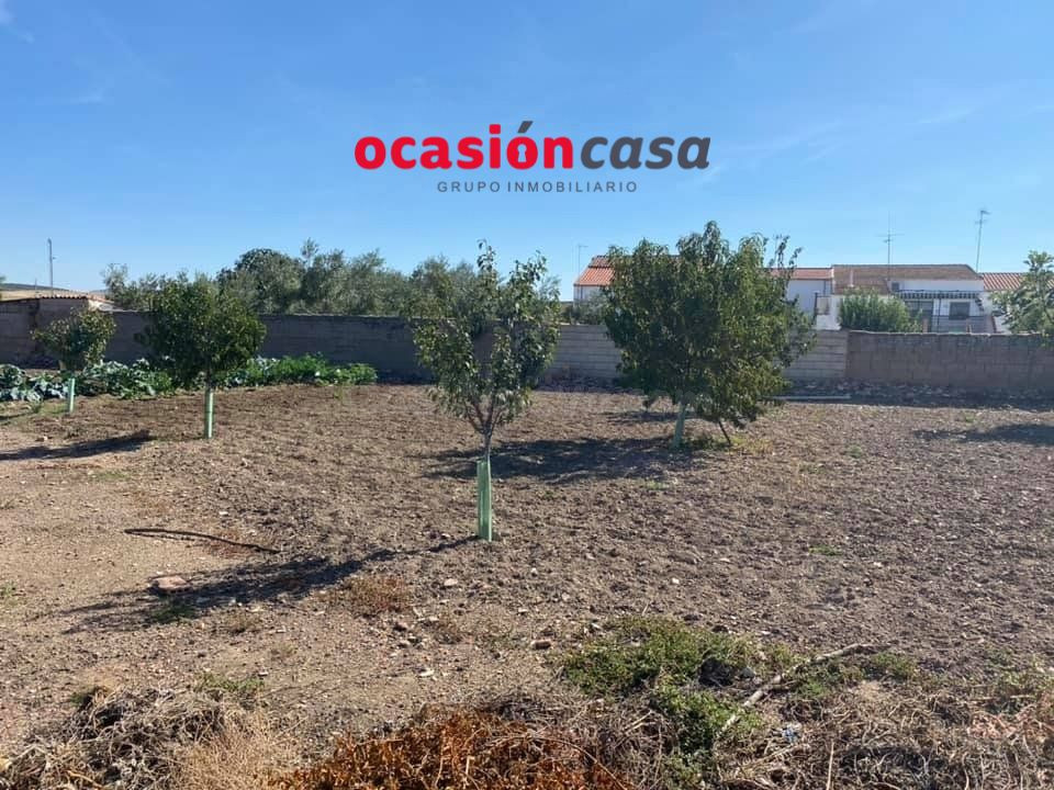 SOLAR URBANO DE 1.289 M2 EN BELMEZ - foto 4