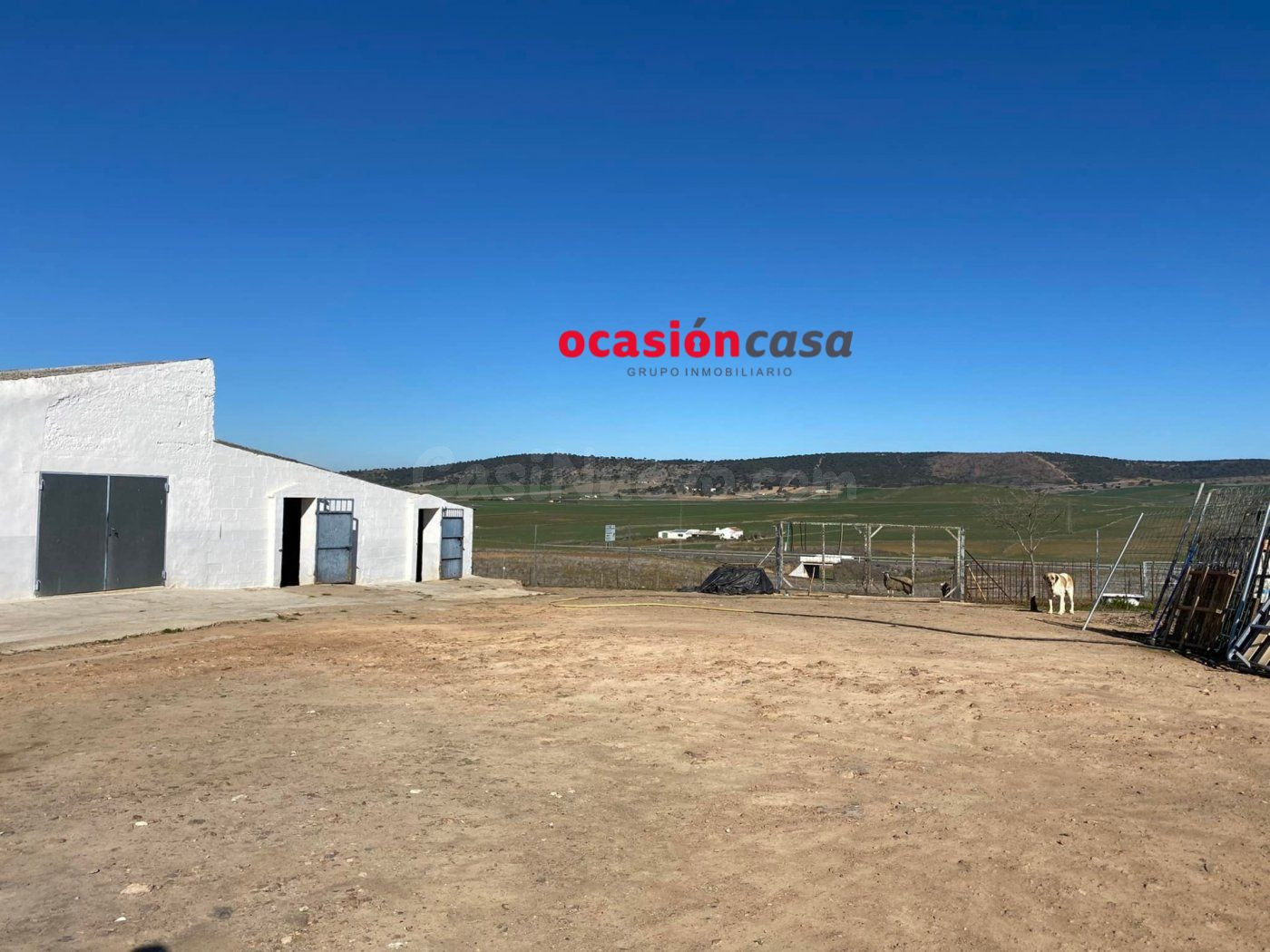 PARCELA CON CASA, NAVES, COCHERA, Y OLIVOS A LA VENTA - foto 2