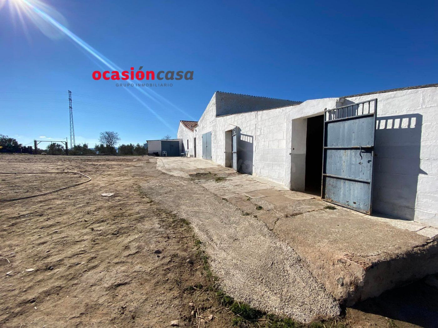 PARCELA CON CASA, NAVES, COCHERA, Y OLIVOS A LA VENTA - foto 3