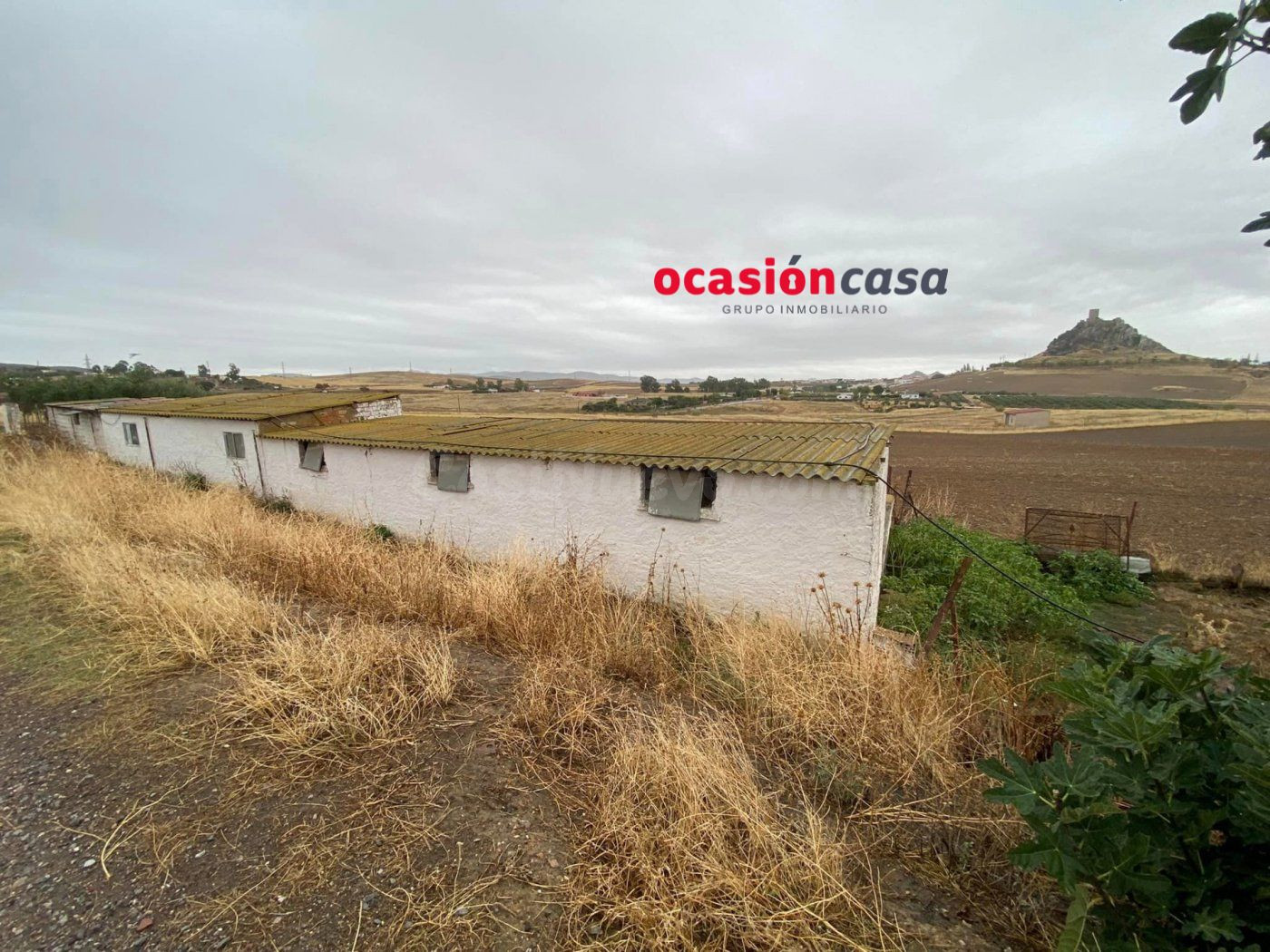 PARCELA CON NAVES Y EXPLOTACIÓN DE PORCINO