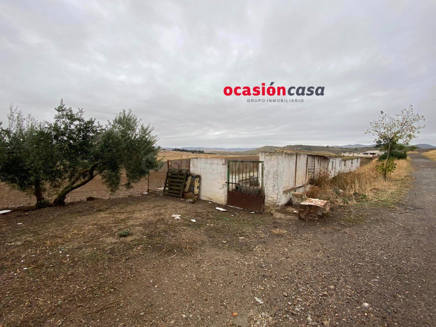 PARCELA CON NAVES Y EXPLOTACIÓN DE PORCINO - foto 2