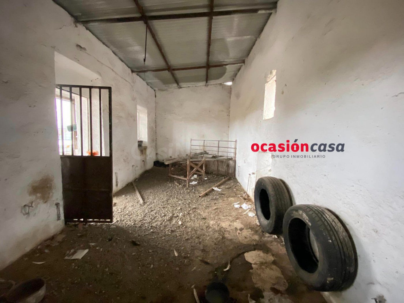 PARCELA CON NAVES Y EXPLOTACIÓN DE PORCINO - foto 3
