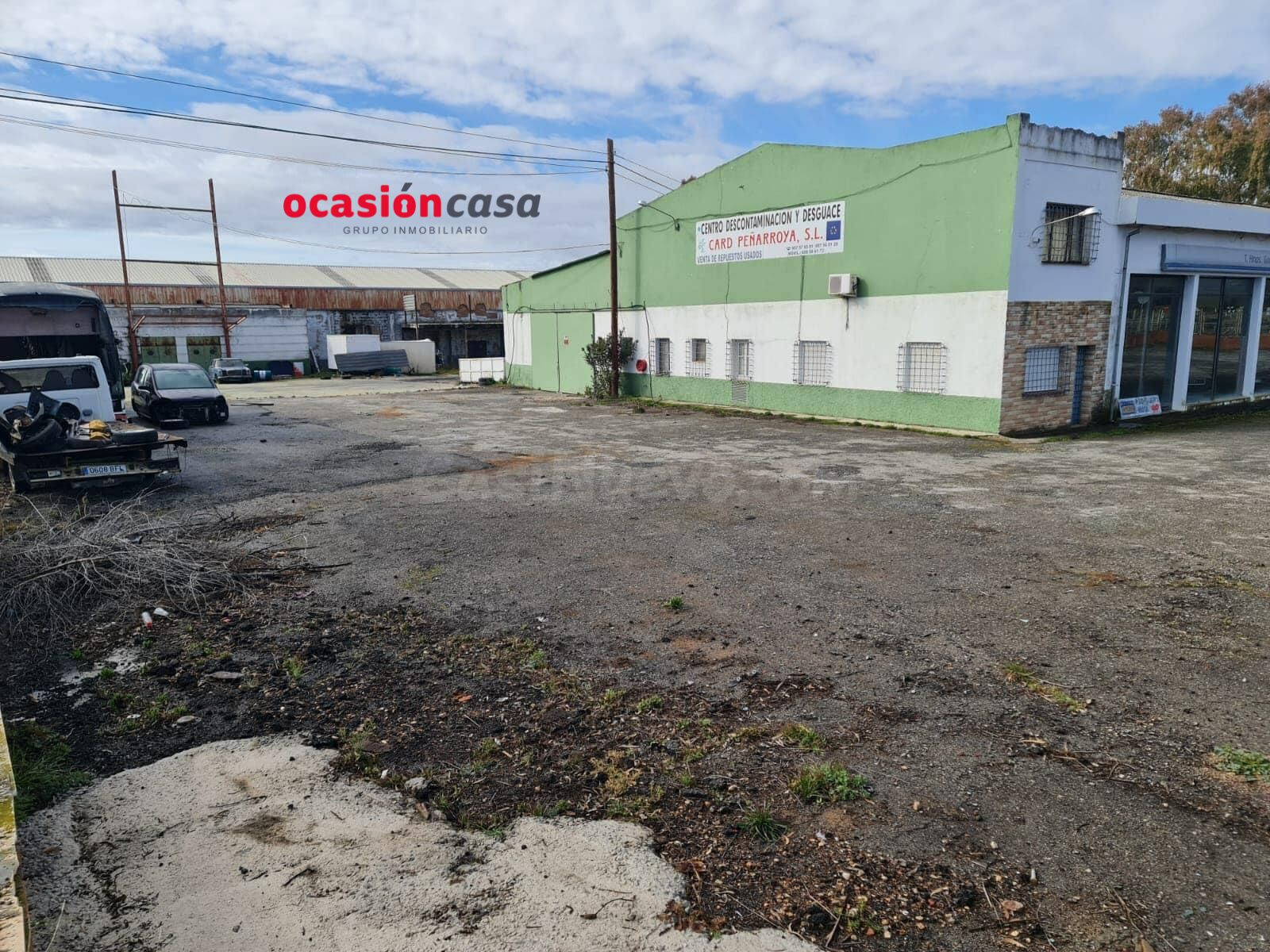 TALLER / DESGUACE A LA VENTA