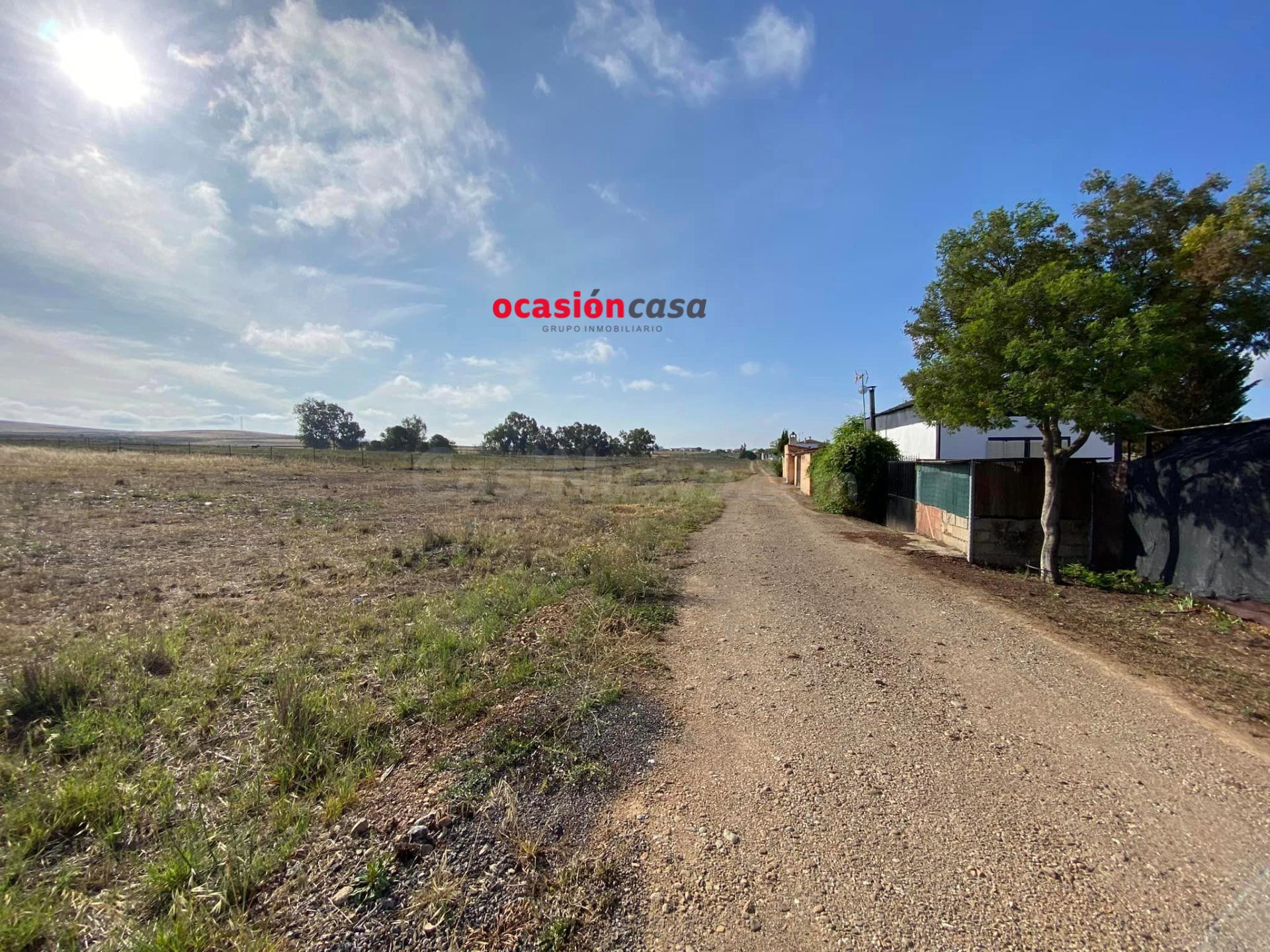 PARCELA RÚSTICA EN BELMEZ POR SÓLO 6.000€ - foto 3
