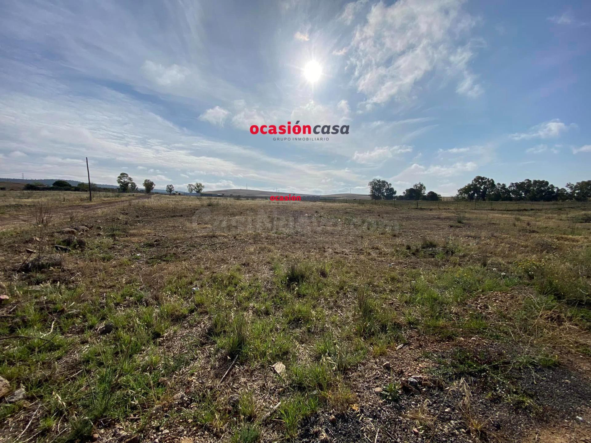 PARCELA RÚSTICA EN BELMEZ POR SÓLO 6.000€ - foto 4