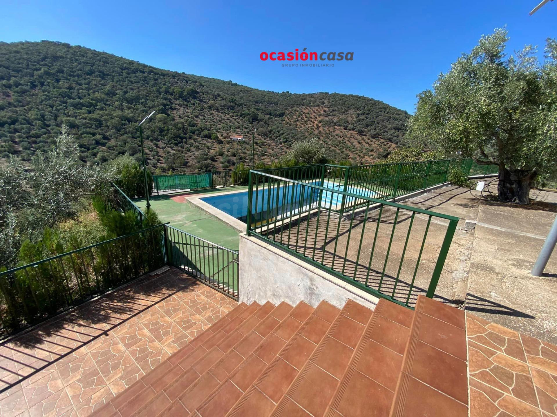 FANTÁSTICA PARCELA CON VIVIENDA, PISCINA Y OLIVOS - foto 4
