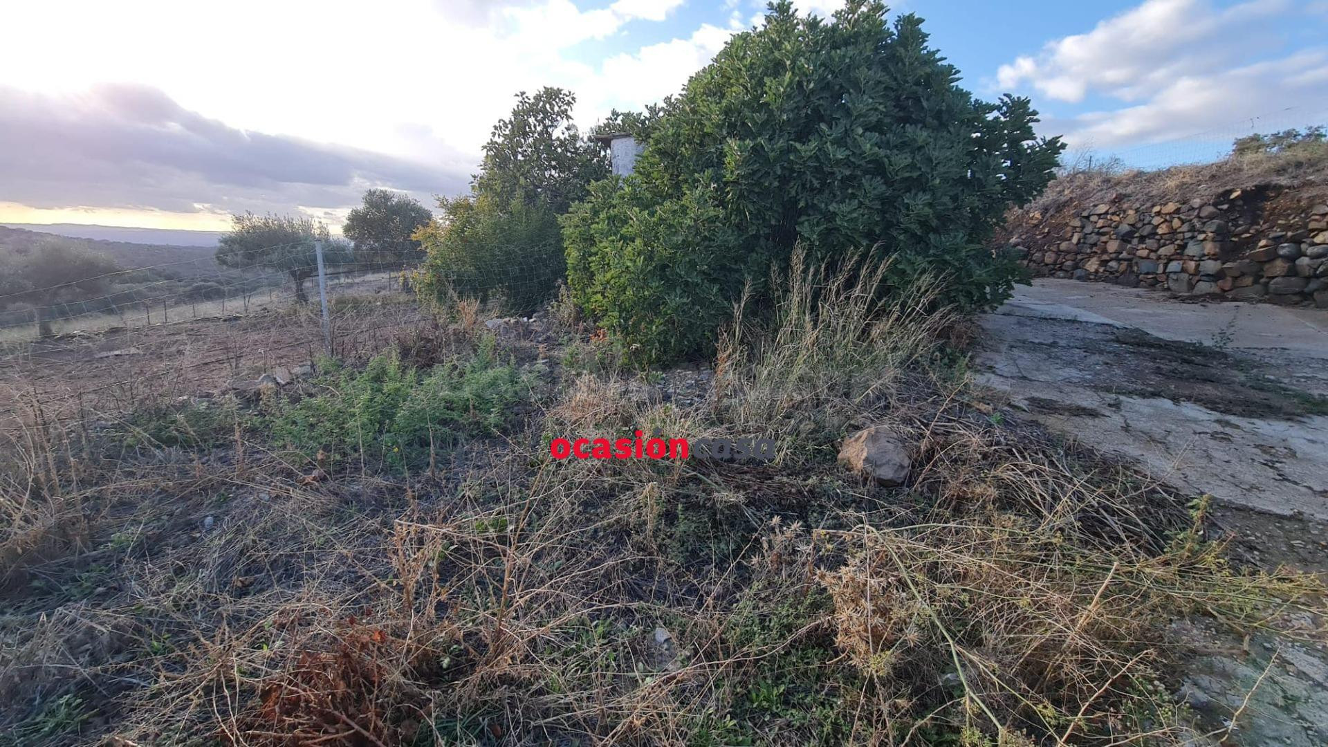 CASA PARA REFORMAR + SOLAR EN OJUELOS ALTOS - foto 4