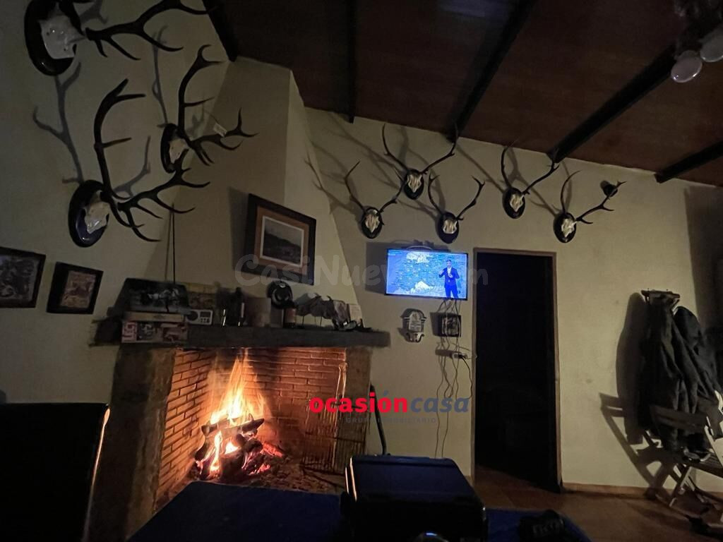 FINCA RÚSTICA EN BELMEZ DE 16 HA - foto 4